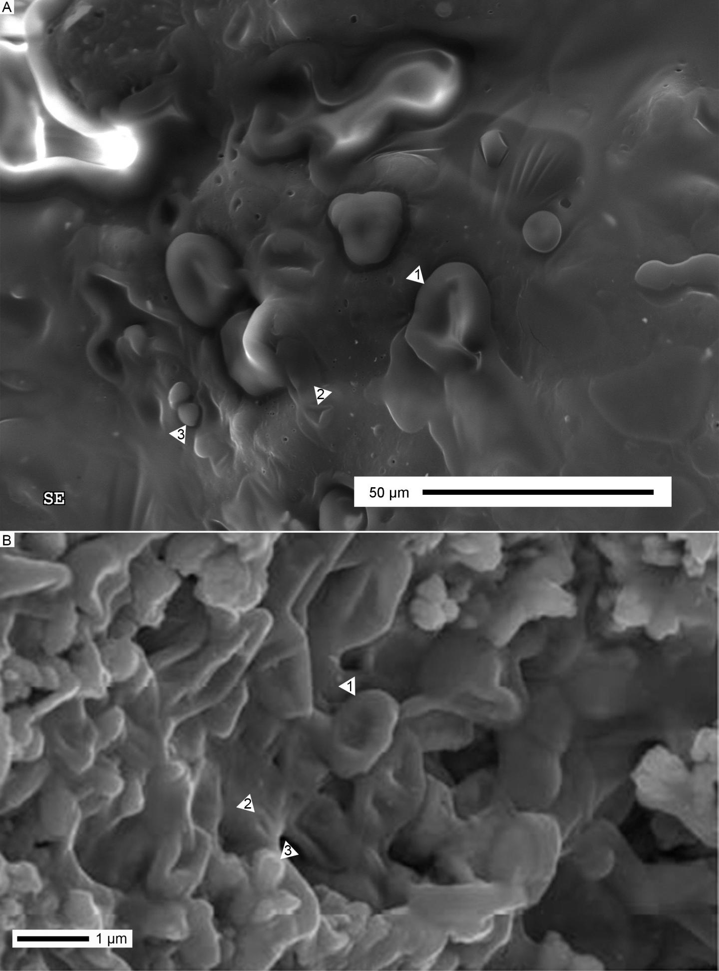 Electron Microscopy of Abiotically-formed Structures as an Explanation for 'Dinosaur Blood'