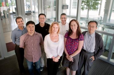 Members of the Gene Networks in Neural and Developmental Plasticity Research Team at the IGB