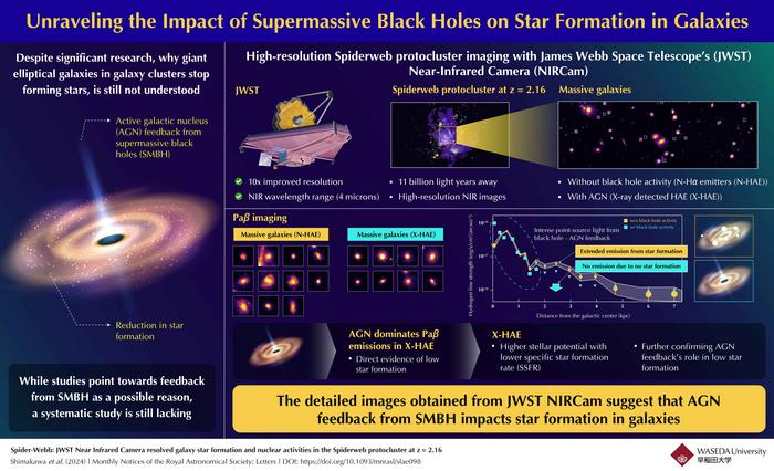 Role of supermassive black holes in stopping star formation of massive galaxies