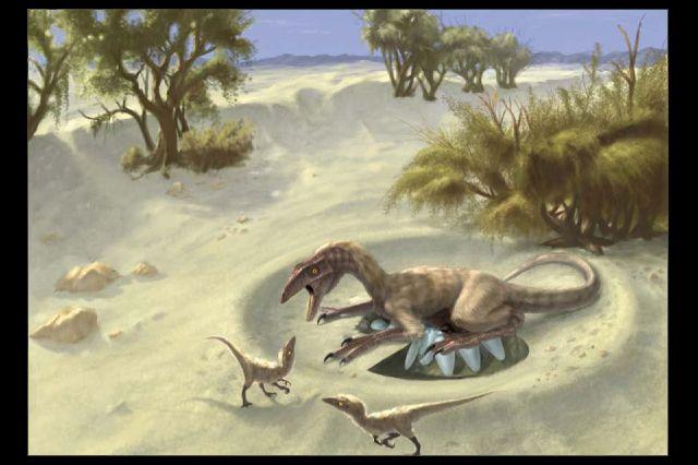 Oviraptorid Theropods