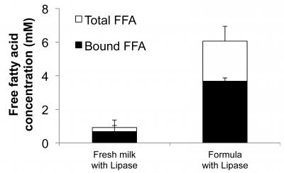 Infant Formula Digestion