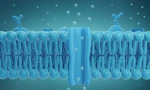Ion channel in cell membrane, 3D illustration
