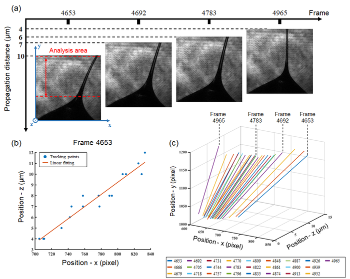 Digital holography for 3D tracking of fibers drawn by electrospinning.