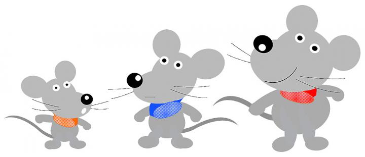 NPGL Aims to Maintain Body Mass at a Constant