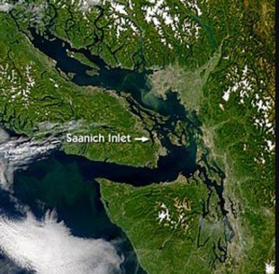 Map of Saanich Inlet off British Columbia, Canada