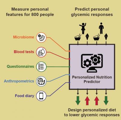 Personalized Nutrition Predictor