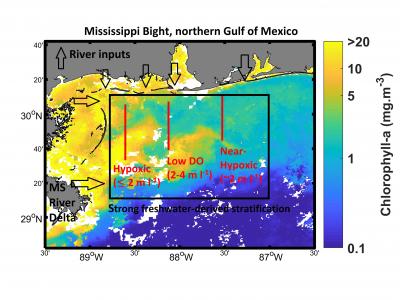 Mississippi Bight, Northern Gulf of Mexico