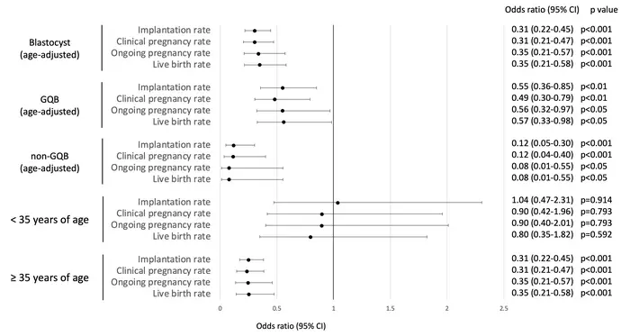 Effect of blastocyst shrinkage on assisted reproductive technology outcomes