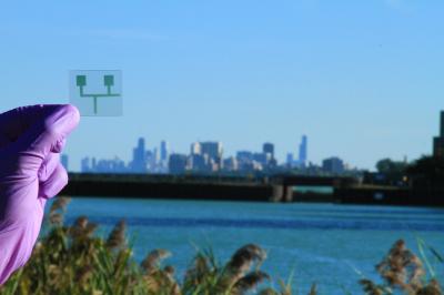 Device Detects Low Levels of Toxic Metals in Water, Fish