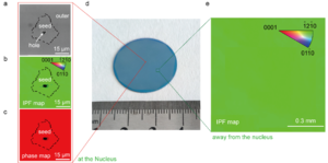 Characterization of single-crystal MoTe2 by electron backscatter diffraction (EBSD)