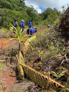 Melekeok Conservation Network staff deploying erosion control devices.