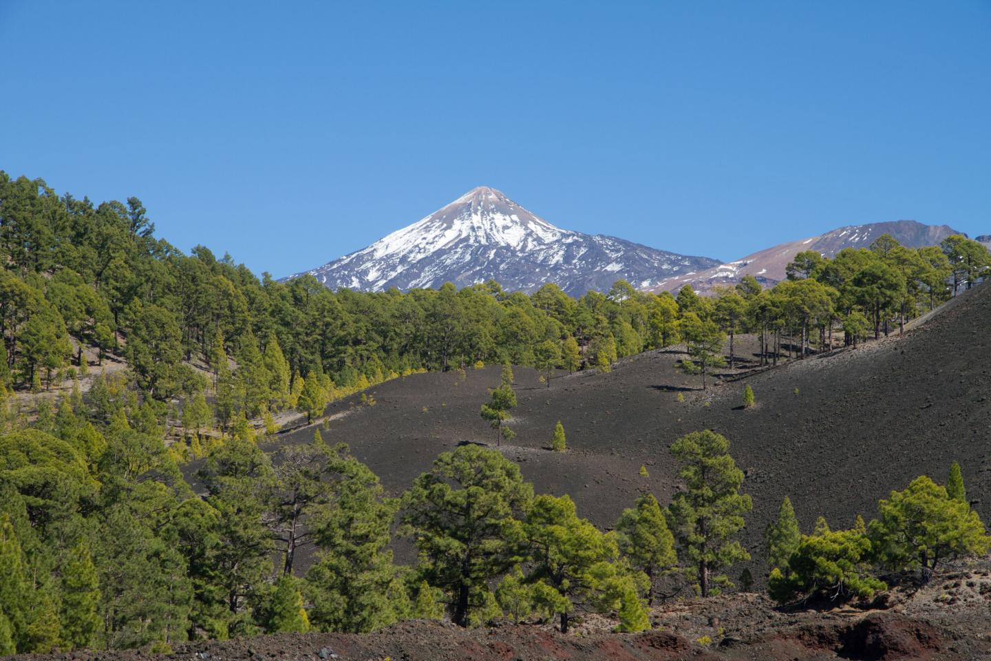 Landscape with Mountain