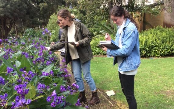 Citizen Science May Boost Engagement and Understanding in Undergraduate Biology Classes