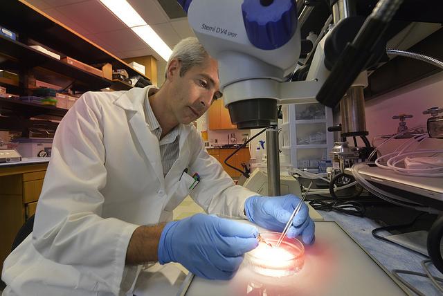 Eric Belin de Chantemele, Medical College of Georgia at Augusta University