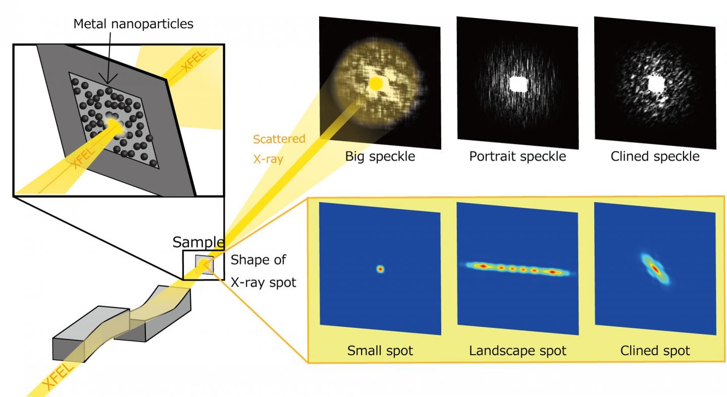 Fig1 Image Eurekalert Science News Releases 