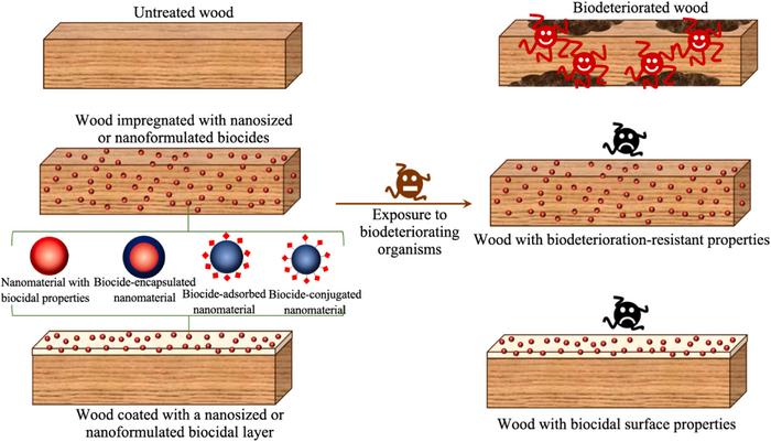 Revolutionizing Wood Preservation: Nanotechnological Strategies Against Biodeterioration