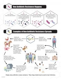 Evolution of Bacterial Resistance to Antibiotics