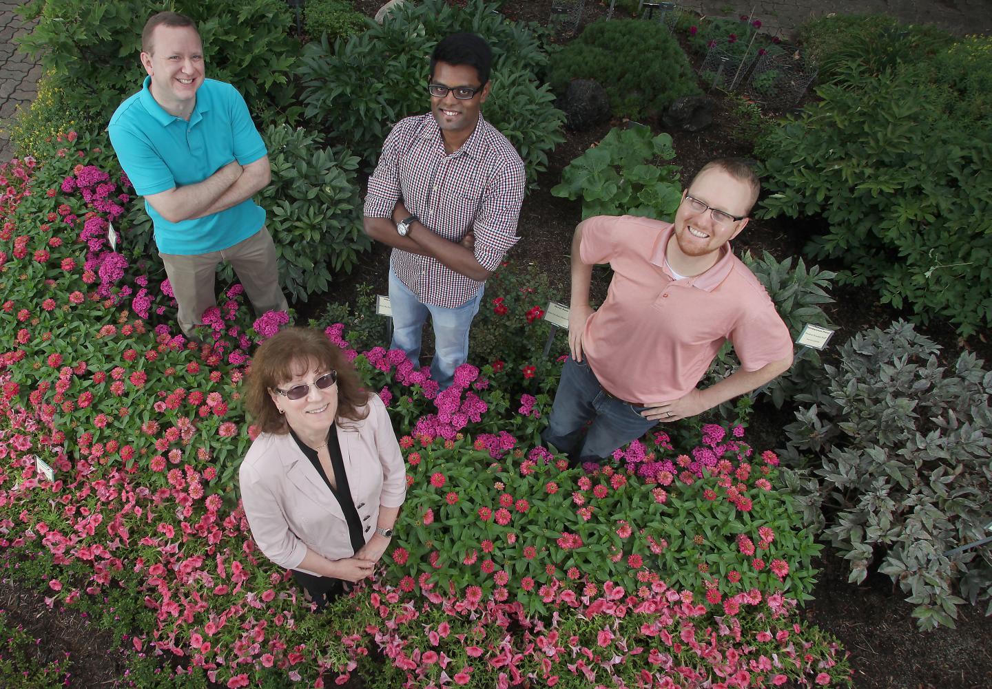 Biological Mechanisms Aid Volatile Release in Plants