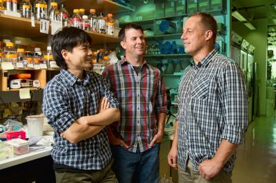 Makoto Hayashi, Anthony Cesare and Jan Karlseder, Salk Institute
