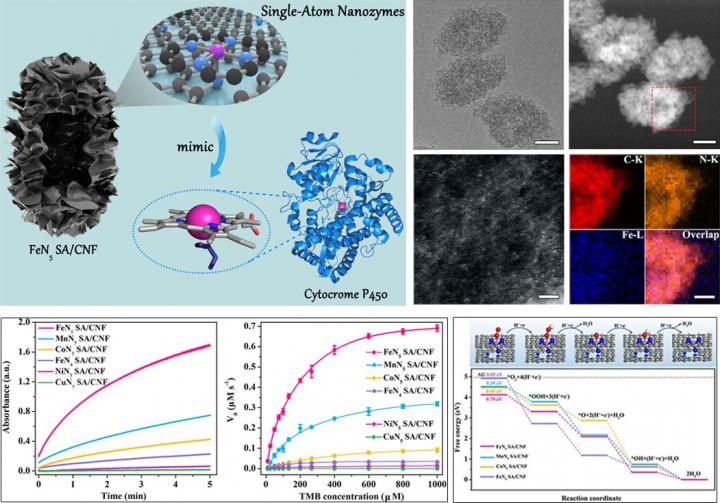 Single-Atom Nanozymes