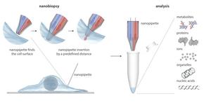illustrated nanopipette