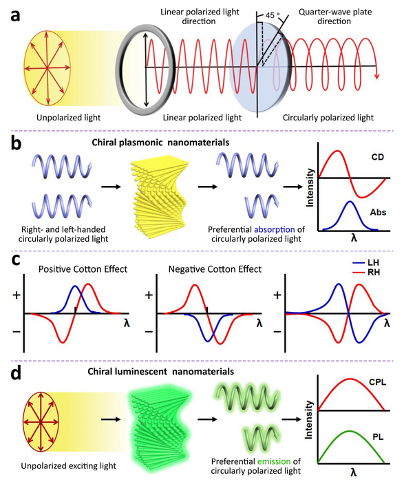 Chiroptical properties of chiral nanomaterials.