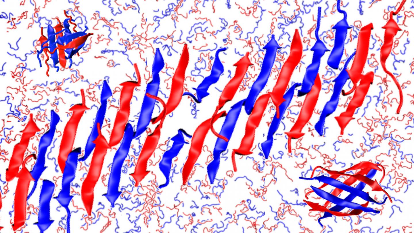 Nanofiber with Alternating Peptides