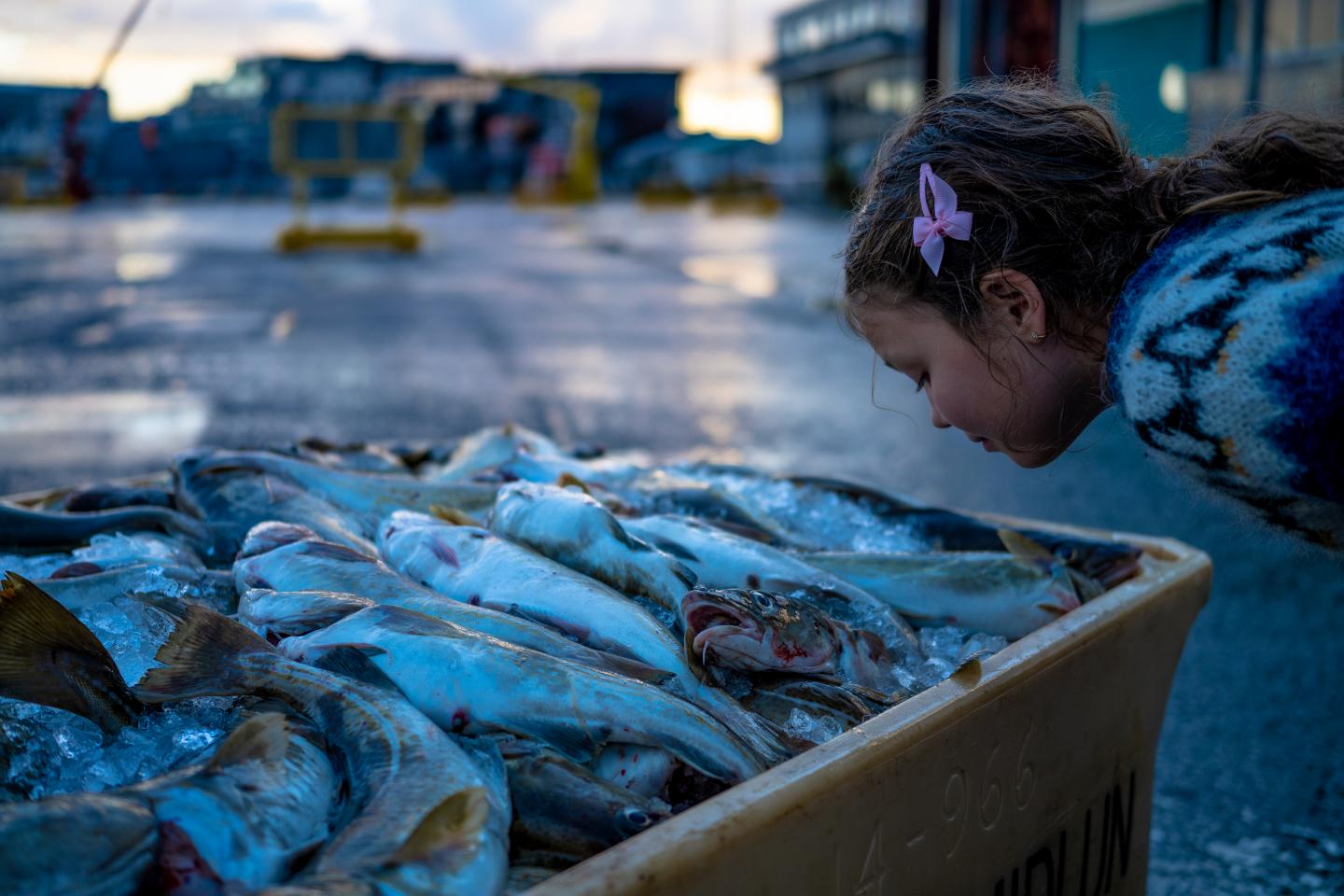 Child Smelling Fish