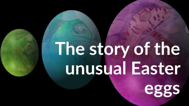 The Story of the Unusual Easter Eggs