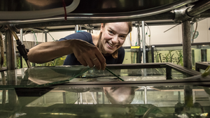 Zebrafish answer questions about evolution