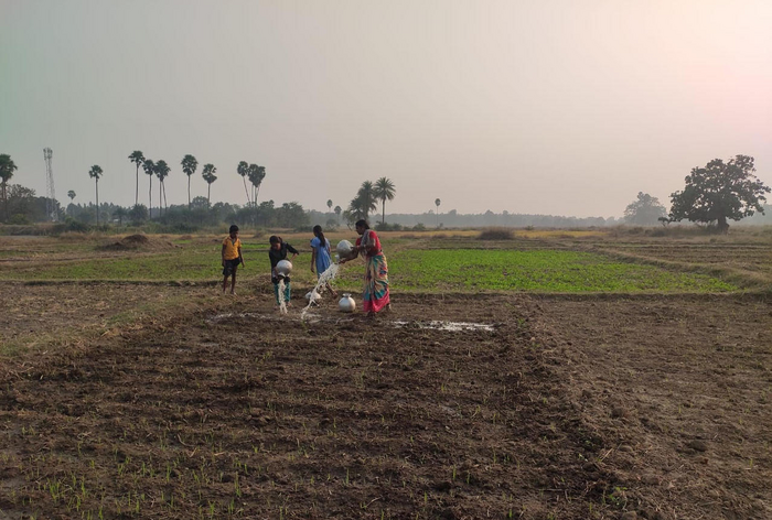 Home Gardens in India