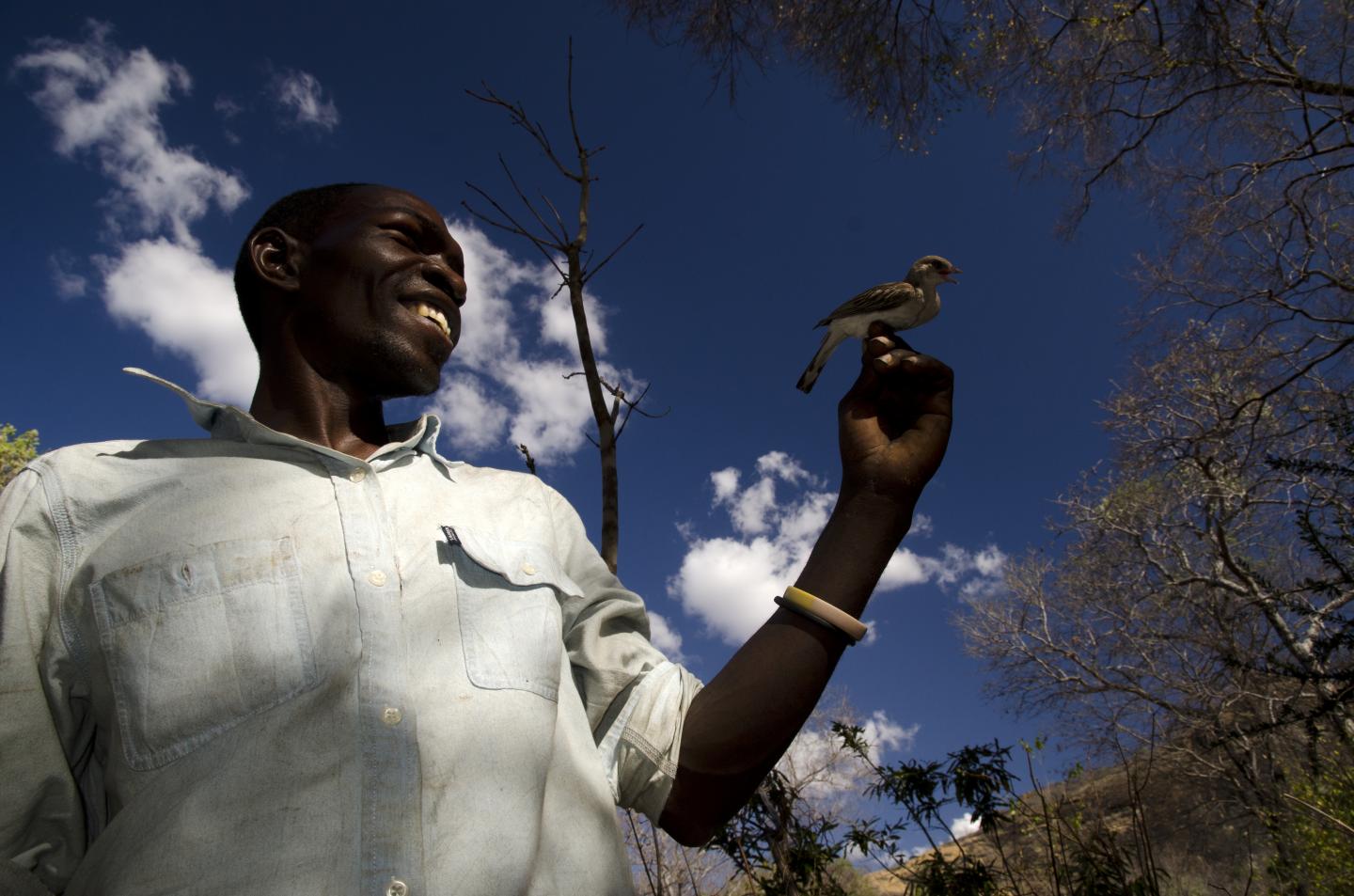 A Sweet Example of Human and Wild Animal Collaboration (1 of 8)