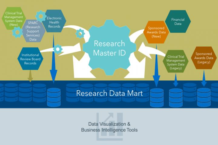 RINS Incorporates Data from Many Disparate Systems