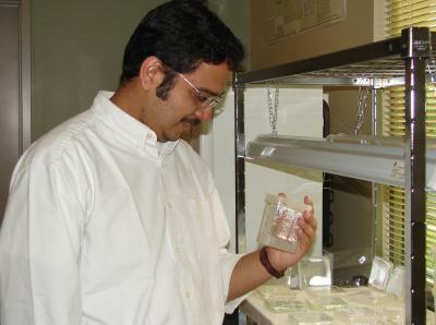 Harsh Bais, University of Delaware