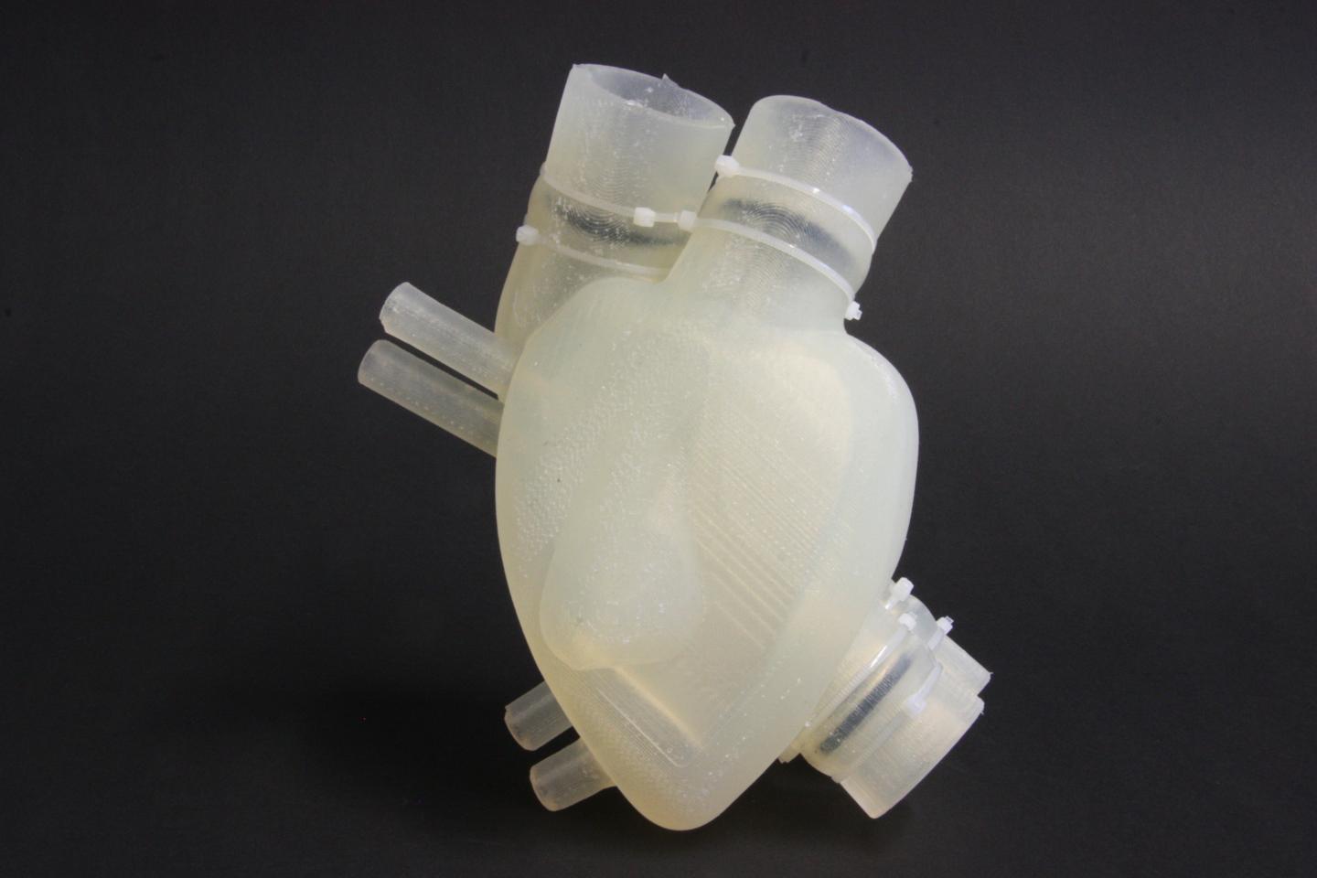Soft Artificial Heart 2