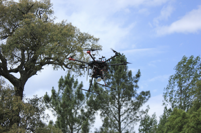SCOUT [IMAGE] | EurekAlert! Science News Releases