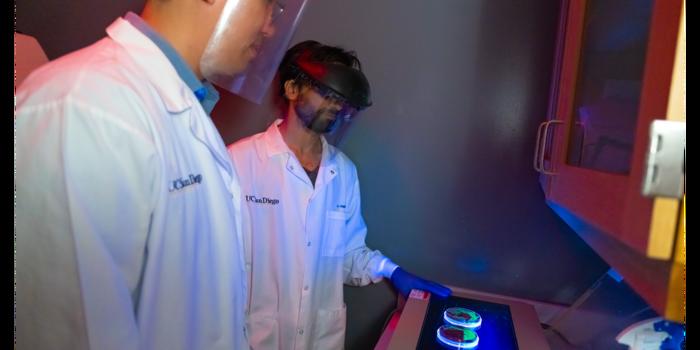 Chih-Ming Tsai and Irshad Hajam with Staphylococcus aureus cultures.