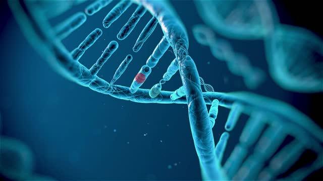 Scientists Achieve First Safe Repair of Single-Gene Mutation in Human Embryos