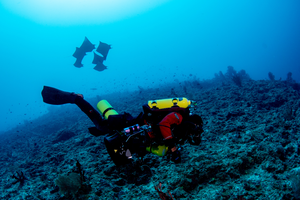 Academy Dive Operations Manager Mauritius Bell on a dive in the Maldives