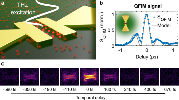 Microscopy of electric near-field waveforms