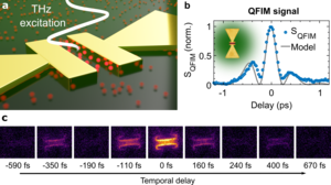 Microscopy of electric near-field waveforms