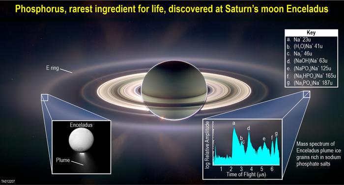 JWST Enceladus Findings