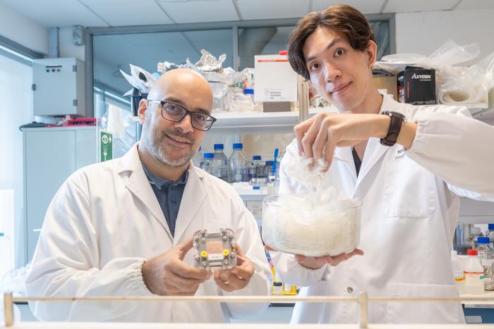 NTU Singapore and ETH Zurich scientists convert waste chicken feathers into the heart of clean fuel cells