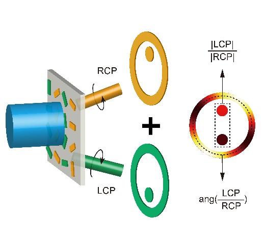 Holographic Polarization Measurements