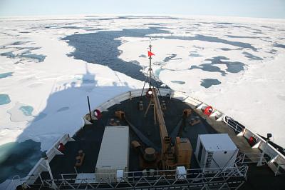 Marine Navigation in the Arctic