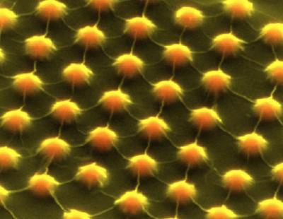 Stretching a Crystal to Catch Sunlight