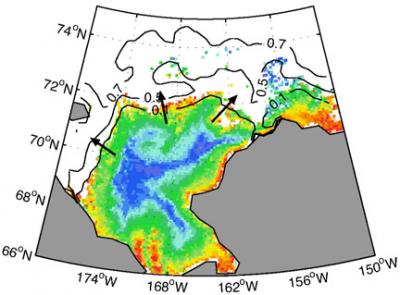Ice-edge Phytoplankon Blooms