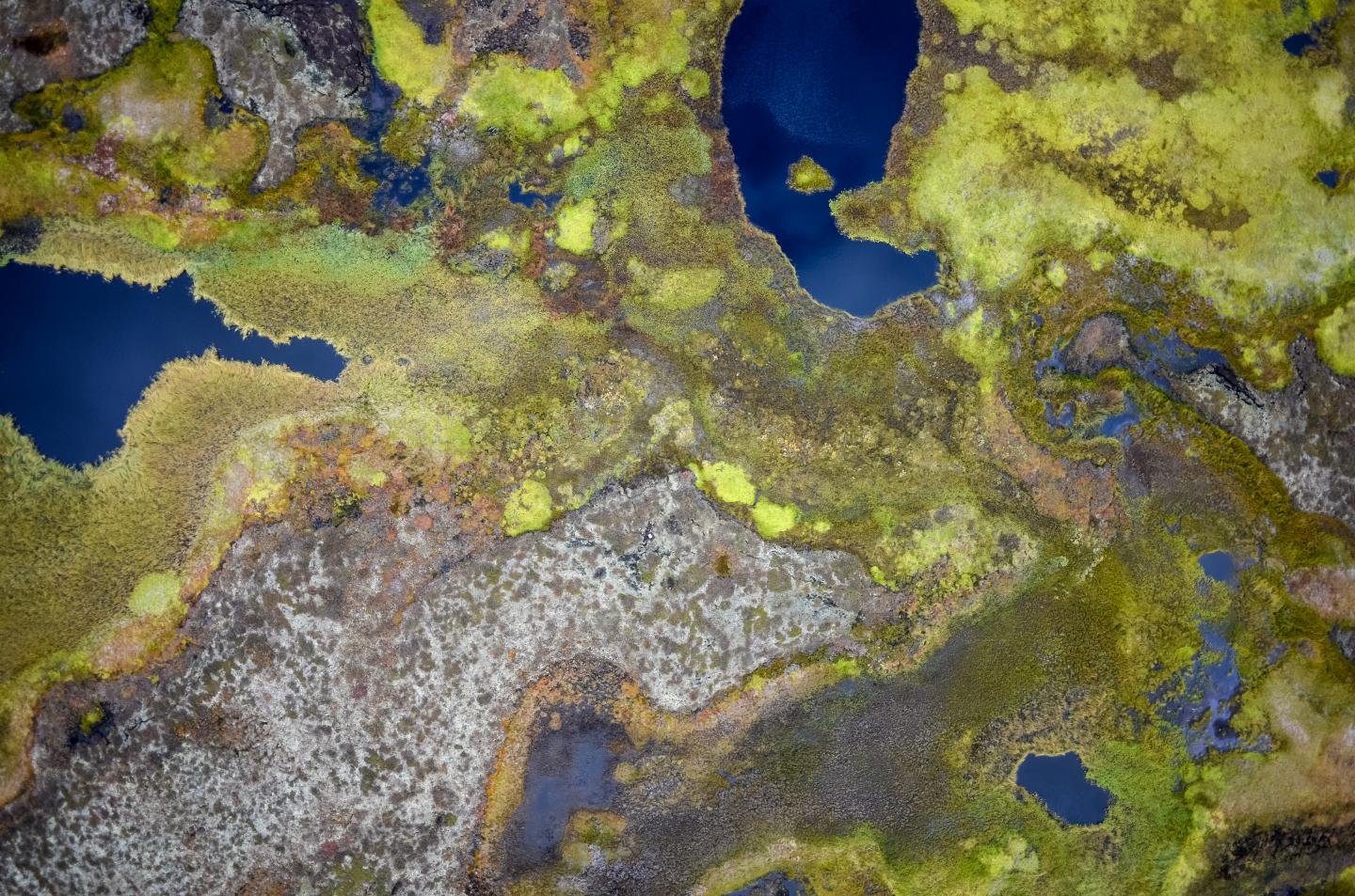 Thawing Permafrost Peat Plateaus in northern Norway