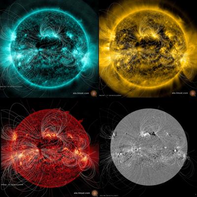 Sun's Magnetic Field Lines Visualized