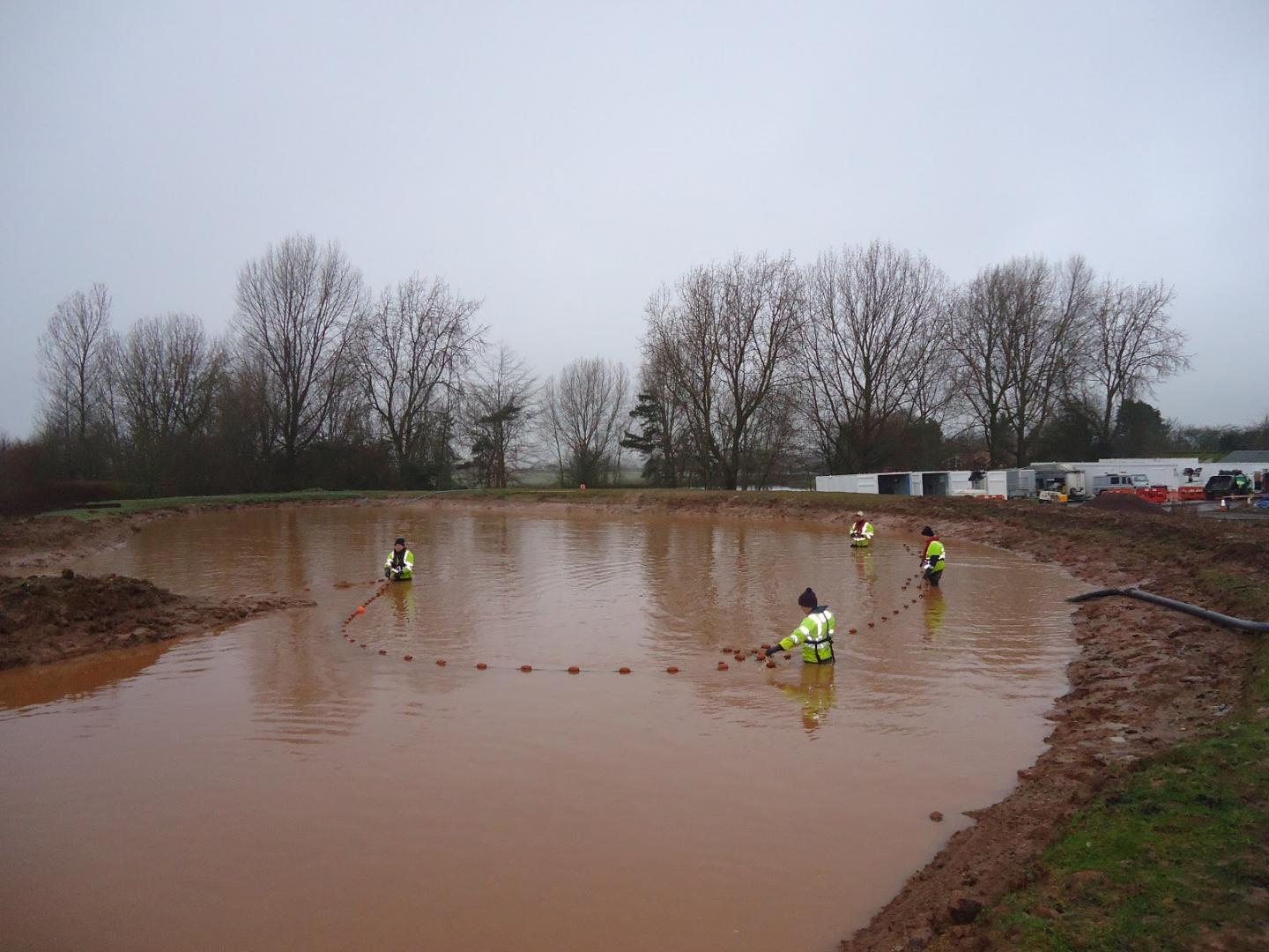 Fish translocation at the studied fishery farm